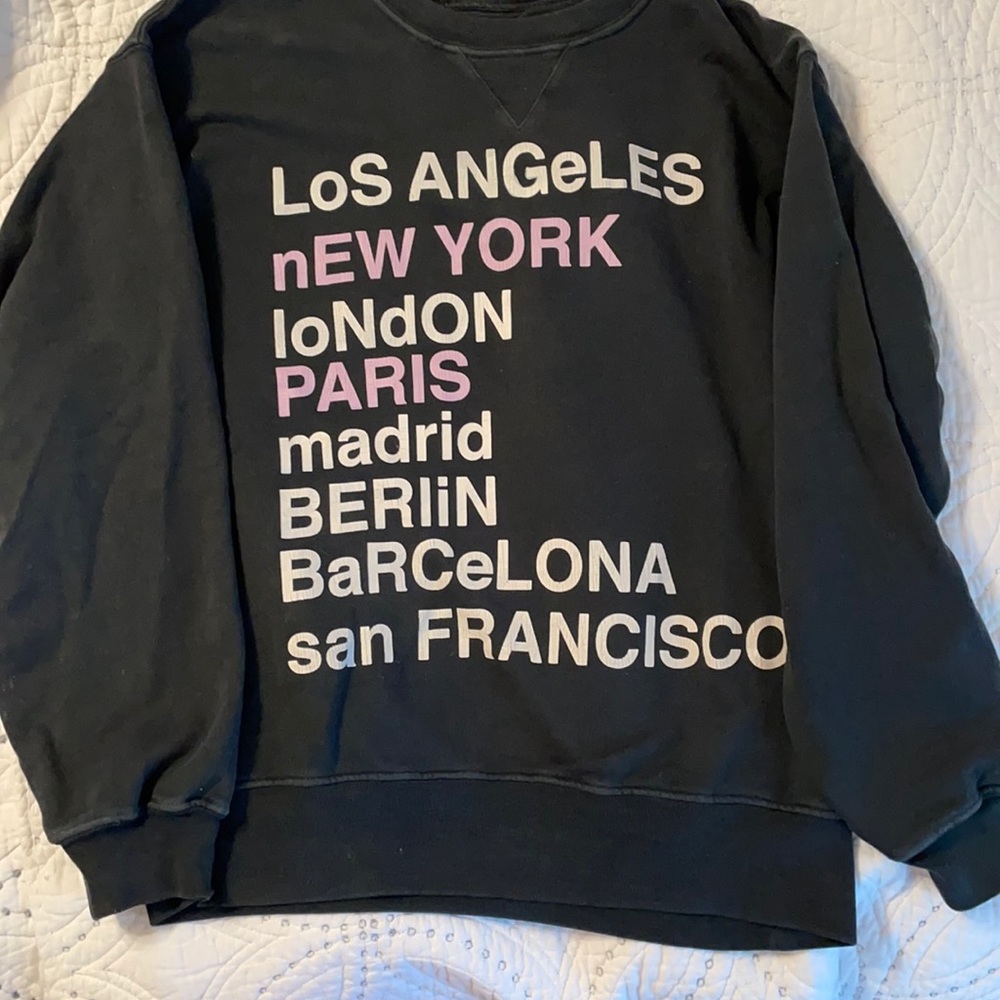 Anine bing sweatshirt